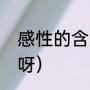 感性的含义是什么（感性是什么意思呀）