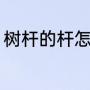 树杆的杆怎么组词（杆字组词有哪些）