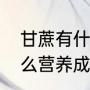 甘蔗有什么营养吗（甘蔗里面含有什么营养成分）