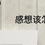 感想该怎么写（写感想怎么写）