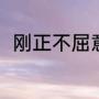 刚正不屈意思（毅志类的四字成语）