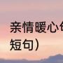 亲情暖心句子8个字（告白爸爸最暖心短句）