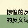 惊惶的反义词和高傲的反义词（傲气的反义词是什么）