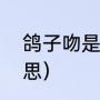 鸽子吻是什么意思（“鸽吻”是什么意思）