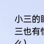 小三的眼泪原唱完整版（歌词有句;小三也有情，小三也有爱，’，歌名是什么）