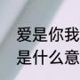 爱是你我是什么意思（爱是你我歌词是什么意思）