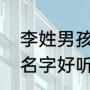 李姓男孩取名（李姓男宝宝要取什么名字好听）