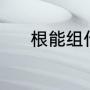 根能组什么词（根的偏旁组词）