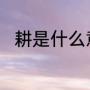 耕是什么意思（耕的读音有jing吗）