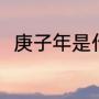 庚子年是什么意思（庚子春是什么）