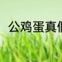 公鸡蛋真假区别（清蒸公鸡蛋做法）