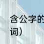 含公字的词语有哪些（公可以组什么词）