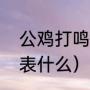 公鸡打鸣是什么原理（公鸡啼鸣是代表什么）