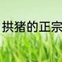 拱猪的正宗做法（野生拱猪怎么红烧）