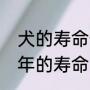 犬的寿命一般在多少年（狗狗有多少年的寿命）