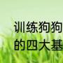 训练狗狗的四大基础动作（训练狗狗的四大基础动作）