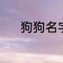 狗狗名字（求狗狗好听的名字）