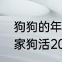 狗狗的年龄最长一般能活多少岁（我家狗活20年相当于多少岁）