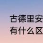 古德里安意思（曼施坦因和古德里安有什么区别）