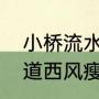 小桥流水人家古道西风瘦马全诗（古道西风瘦马夕阳西下是什么意思啊）
