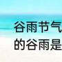 谷雨节气是什么意思（二十四节气中的谷雨是什么意思）