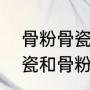 骨粉骨瓷和304不锈钢的区别（新骨瓷和骨粉的区别）