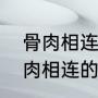 骨肉相连是猪身上哪个部位的肉（骨肉相连的营养价值）