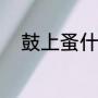 鼓上蚤什么意思（鼓上蚤的意思）