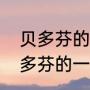 贝多芬的故事（简短）（名人传中贝多芬的一个典型事例）