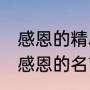 感恩的精辟句子文案（84个字的关于感恩的名言）