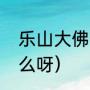 乐山大佛的深度解析（乐山大佛是什么呀）