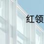 红领巾爱家乡主题的资料