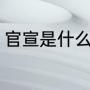 官宣是什么意思（官宣是什么意思呀）