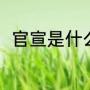 官宣是什么意思（官宣是什么意思）