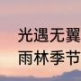 光遇无翼怎么在密林遗迹冥想（光遇雨林季节先祖最后一个任务教程）