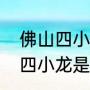 佛山四小龙指的是哪四个（请问佛山四小龙是谁?广东十虎是哪十个人）