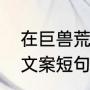 在巨兽荒原冥想会被龙锁定吗（雕刻文案短句）