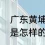 广东黄埔长洲岛好玩吗（广州长洲岛是怎样的）