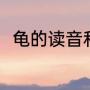 龟的读音和组词（龟的读音和组词）