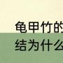 龟甲竹的移栽方法与技术（文玩竹子结为什么贵）