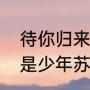 待你归来仍是少年的前半句（归来仍是少年苏轼原文）