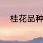 桂花品种排名（桂花有哪些品种）
