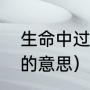 生命中过客是什么歌（歌曲人间过客的意思）