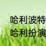 哈利波特的哈利扮演者（哈利波特的哈利扮演者）