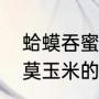 蛤蟆吞蜜烧饼壳怎么做（传统小吃哈莫玉米的馅儿是什么）