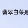 翡翠白菜是哪个电视中的情节银冬瓜