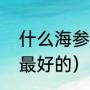 什么海参营养最好（怎样辨认海参是最好的）