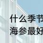 什么季节的海参最好（什么季节产的海参最好）