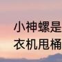 小神螺是海尔品牌吗（海尔小神螺洗衣机甩桶不转怎么办）