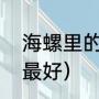 海螺里的面珠叫什么（海螺珍珠哪种最好）